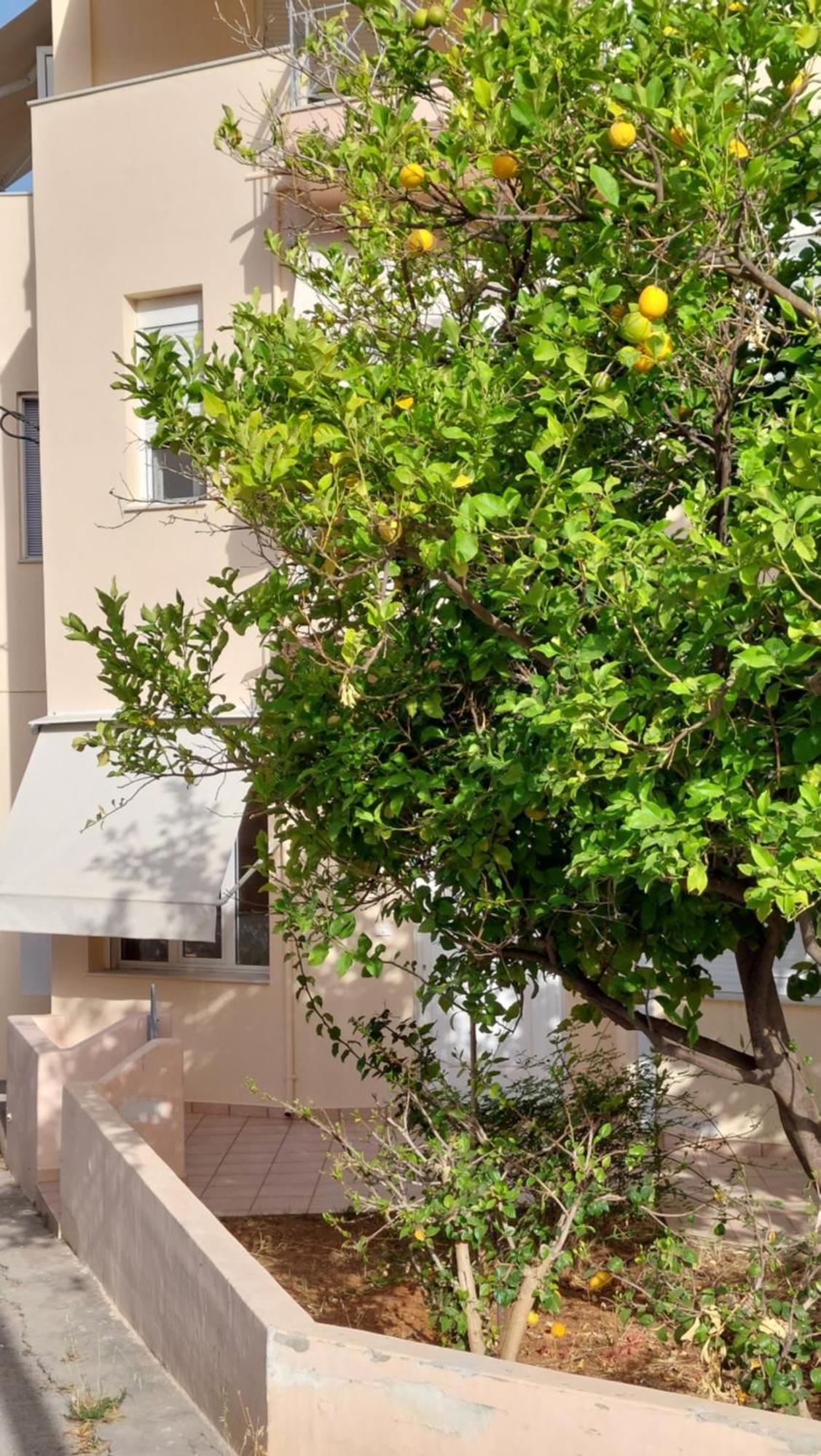 Sunbeam Retreat Villa Chania  ภายนอก รูปภาพ
